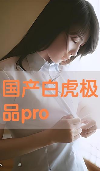 国产白虎,传承与创新中的民族品牌传奇  第2张