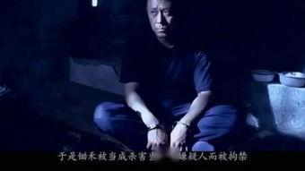 国产经典毛片,光影流转中的时代印记  第3张