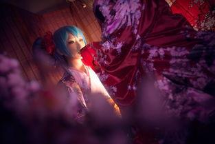 精品国产福利视频在线观看,在线观看盛宴来袭！