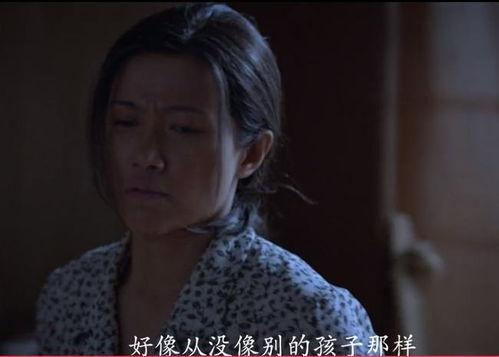 国产母子乱,温情脉脉的家庭故事  第2张