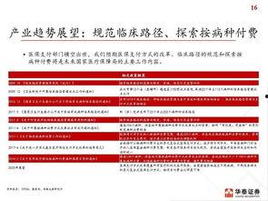 国产51页,揭秘中国科技发展的新篇章