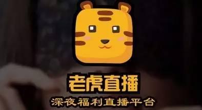 国产深夜福利在线播放,揭秘深夜娱乐新潮流  第3张