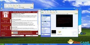 xp123国产,国产品牌的创新力量与市场影响力  第1张