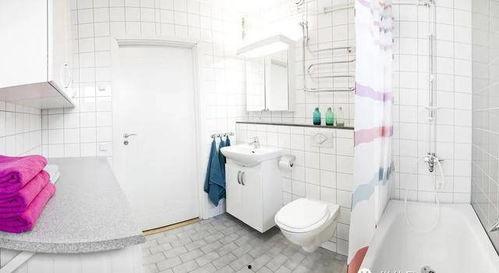 国产厕所在线,创新设计引领绿色环保新潮流  第2张